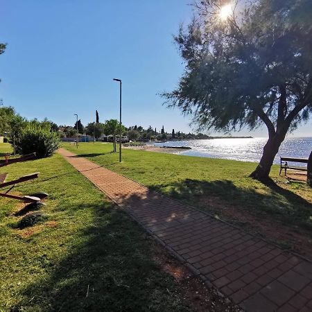 App Palcic K Διαμέρισμα Novigrad Istria Εξωτερικό φωτογραφία