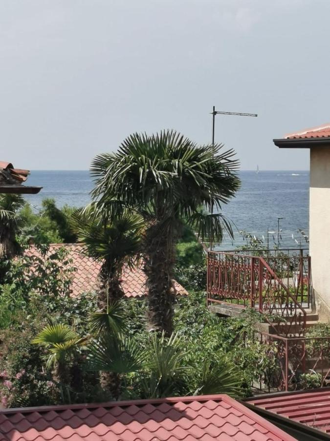 App Palcic K Διαμέρισμα Novigrad Istria Εξωτερικό φωτογραφία