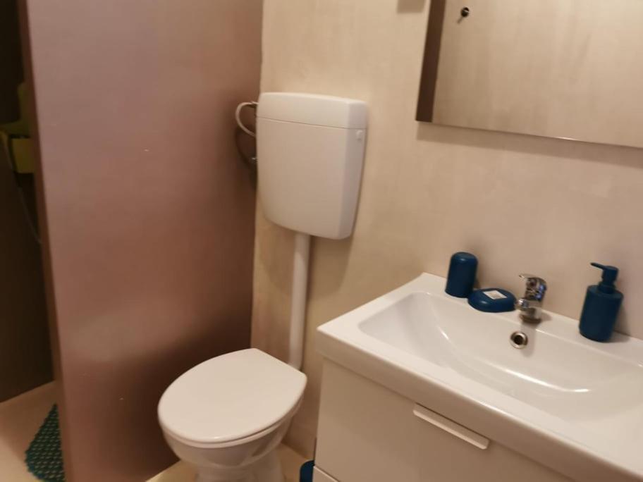 App Palcic K Διαμέρισμα Novigrad Istria Εξωτερικό φωτογραφία