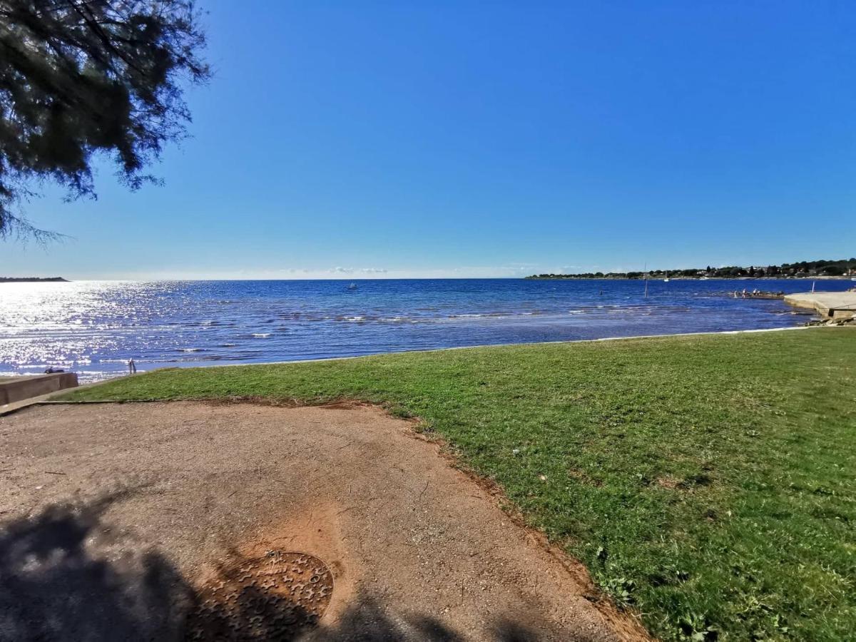 App Palcic K Διαμέρισμα Novigrad Istria Εξωτερικό φωτογραφία