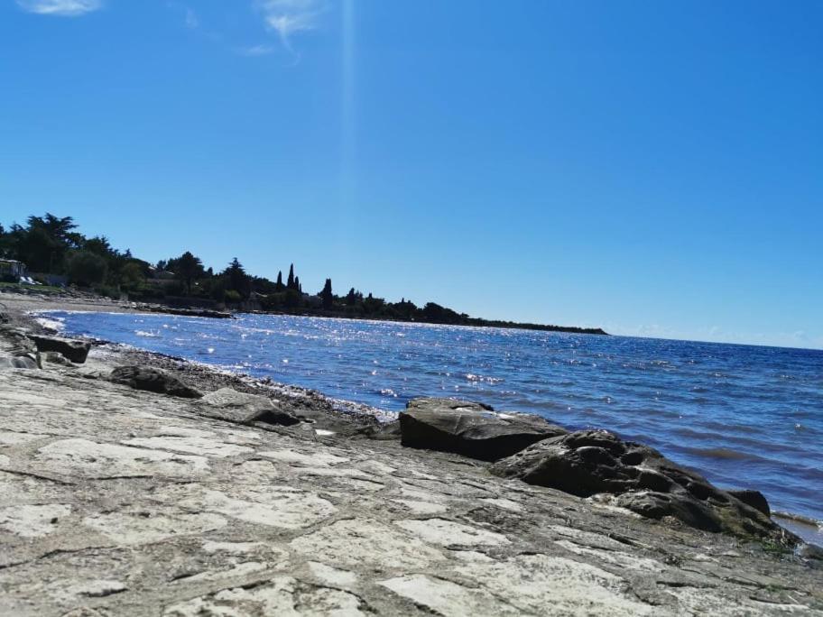 App Palcic K Διαμέρισμα Novigrad Istria Εξωτερικό φωτογραφία
