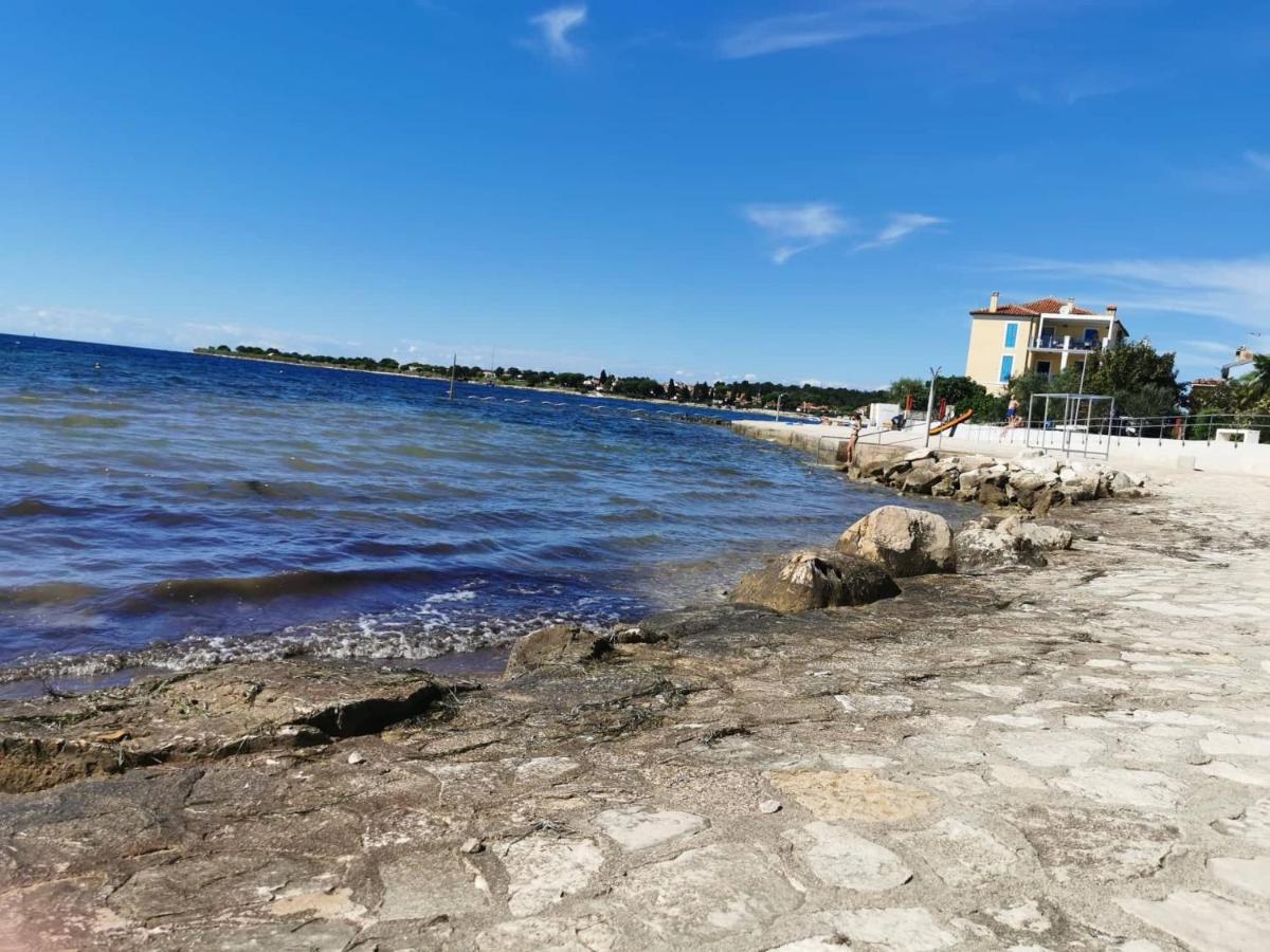 App Palcic K Διαμέρισμα Novigrad Istria Εξωτερικό φωτογραφία