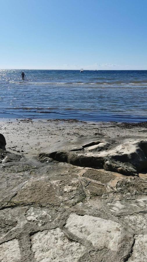 App Palcic K Διαμέρισμα Novigrad Istria Εξωτερικό φωτογραφία