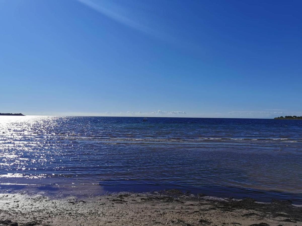 App Palcic K Διαμέρισμα Novigrad Istria Εξωτερικό φωτογραφία