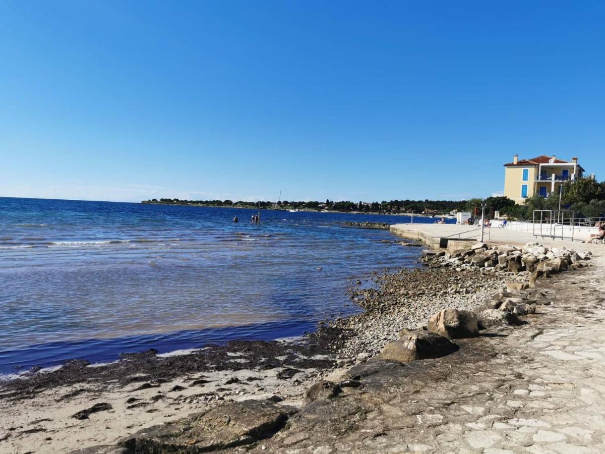 App Palcic K Διαμέρισμα Novigrad Istria Εξωτερικό φωτογραφία