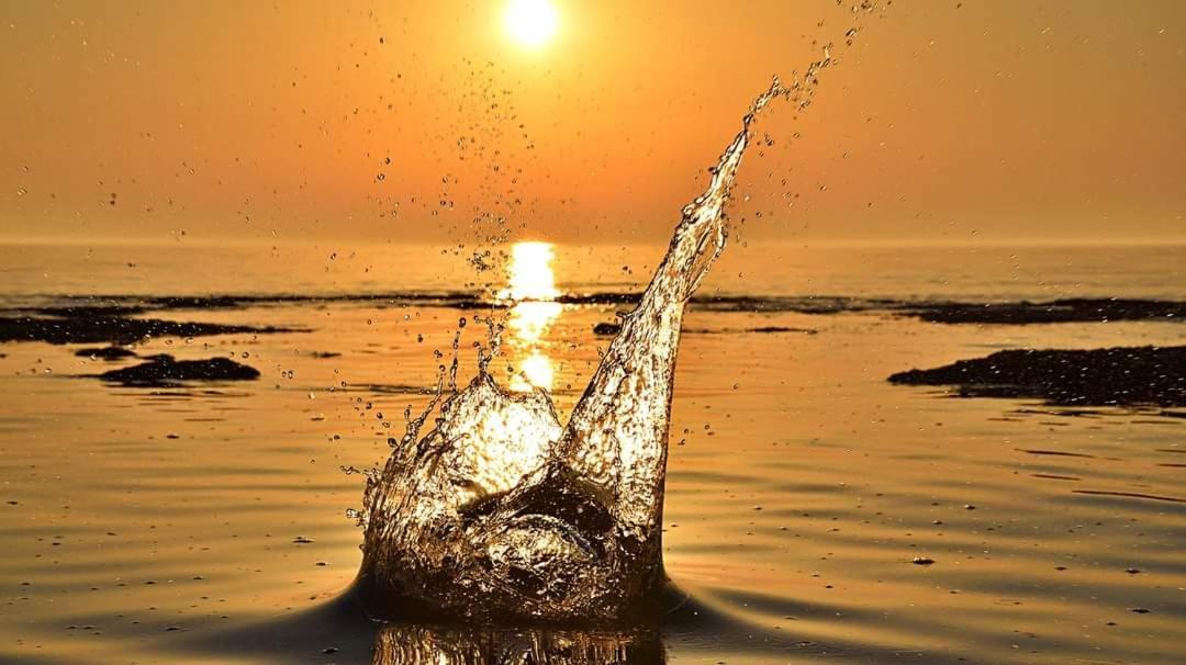 App Palcic K Διαμέρισμα Novigrad Istria Εξωτερικό φωτογραφία